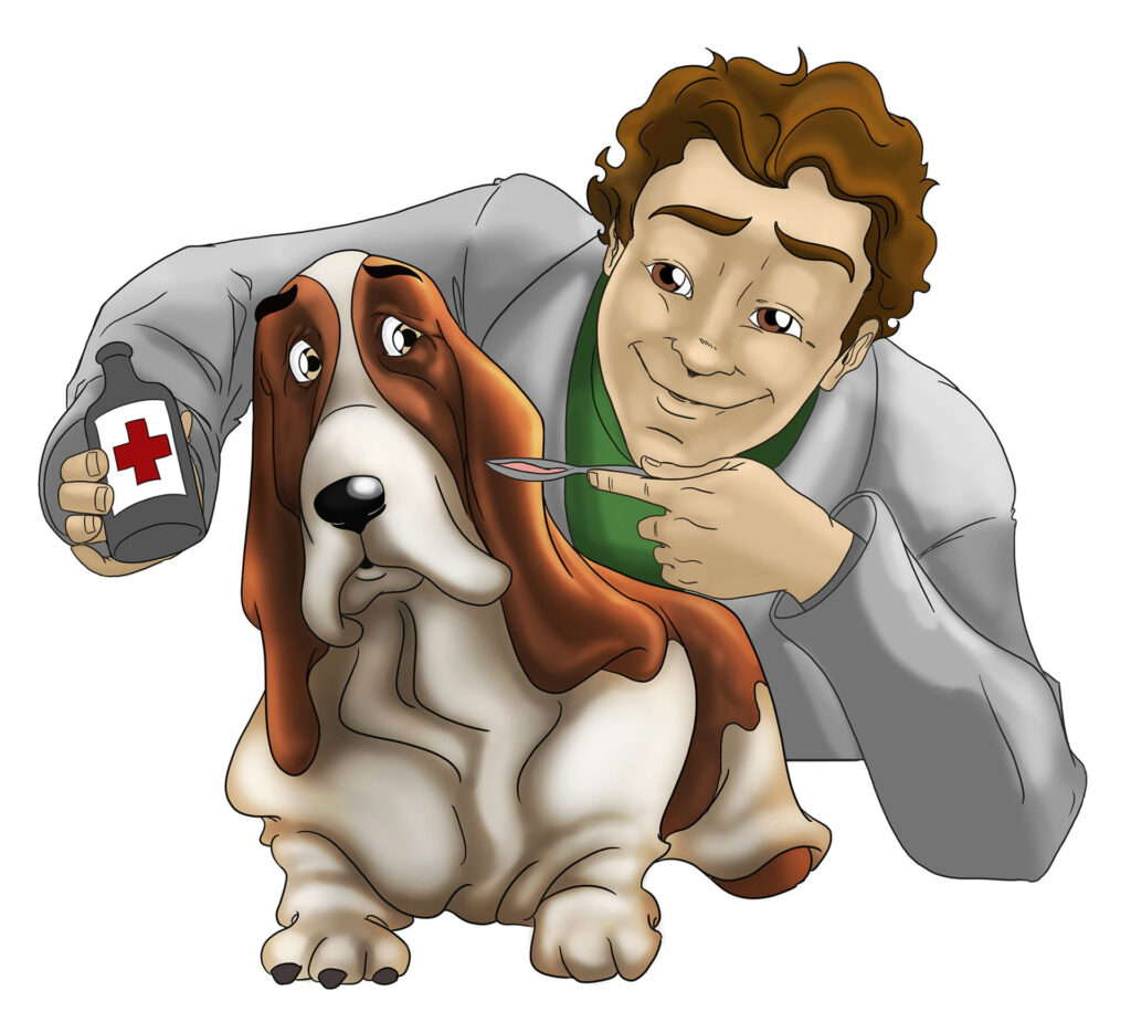 piometra nel cane